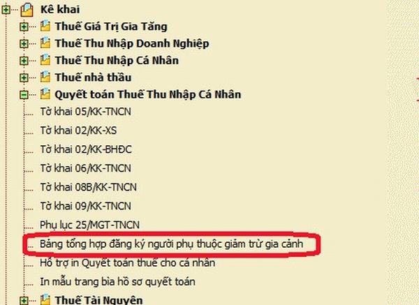 huong-dan-dang-ky-nguoi-phu-thuoc-giam-tru-gia-canh-bang-hinh-anh-2